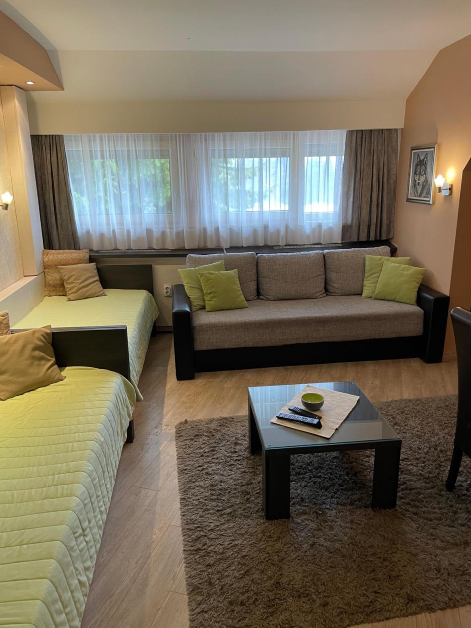 Apartment Brvenik Plus Копаоник Экстерьер фото